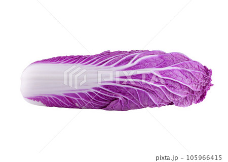 Purple chinese cabbage isolated on a white background. 105966415