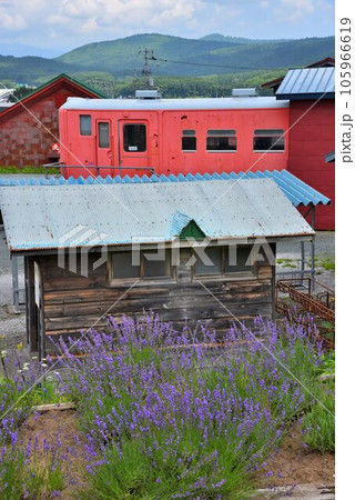 根室本線幾寅駅　最後の夏風景　映画　鉄道員舞台 105966619