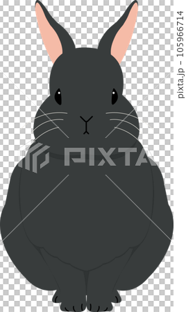坐著的黑兔 坐著的黑兔 105966714