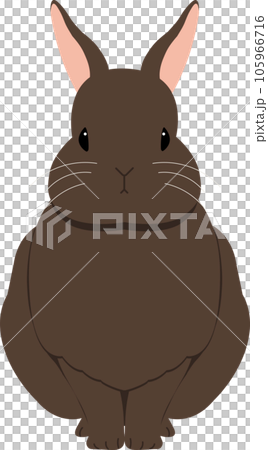 おすわりこげ茶うさぎ おすわりこげ茶うさぎ 105966716