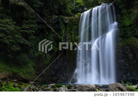 桜滝 桜滝 105967390