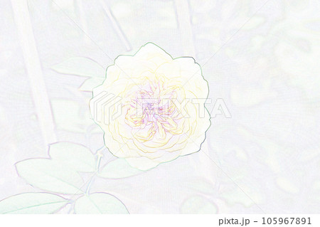 パステル調　”一輪のバラの花”　イラストイメージ 105967891