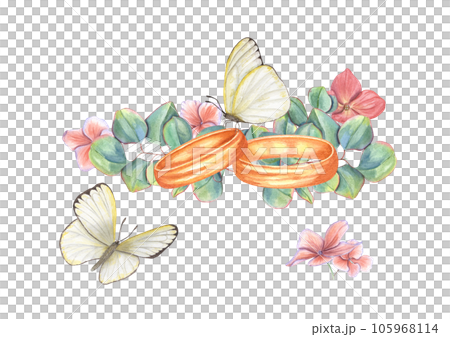 Composition with Wedding Rings, Eucalyptus Branches, Hydrangea Flowers and Fluttering Butterflies. Watercolor illustration isolated on white background. For the design of invitation, greetings Composition with Wedding Rings, Eucalyptus Branches, Hydrangea Flowers and Fluttering Butterflies. Watercolor illustration isolated on white background. For the design of invitation, greetings 105968114