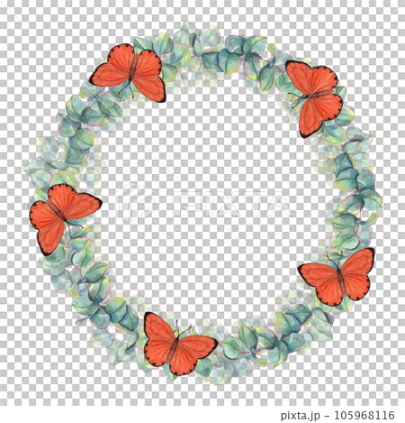 Watercolor wreath with eucalyptus branch and orange scarce copper butterflies. Silver dollar greenery isolated on white background. Botanical illustration for postcard design, invitation template 105968116