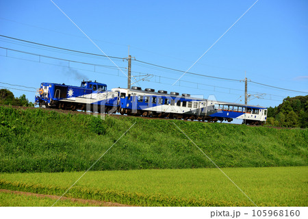 山陰本線を走るDE101161奥出雲おろち号（ビビッド調） 105968160
