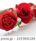 赤薔薇とクリスタル 105968180