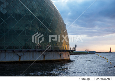 夕方のシーサイドコスモ 夕方のシーサイドコスモ 105968201