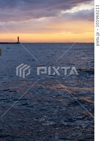 夕方のシーサイドコスモ 105968213