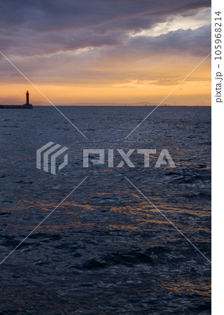 夕方のシーサイドコスモ 105968214