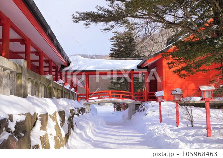 赤城神社　群馬県　赤城山　大洞赤城神社　元宮赤城神社　啄木鳥橋　冬　 105968463