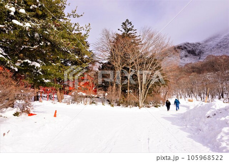 赤城神社　群馬県　赤城山　大洞赤城神社　啄木鳥橋　冬　 105968522