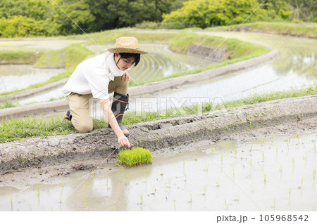 田植え 農家イメージ 田植え 農家イメージ 105968542