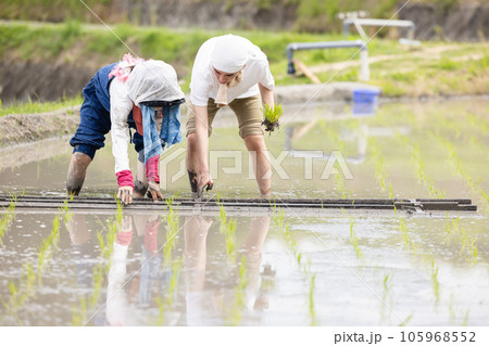 田植え　農家イメージ 105968552