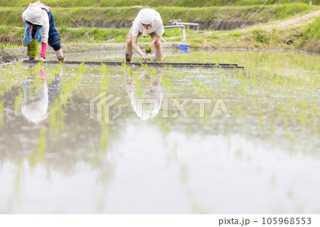 田植え　農家イメージ 105968553