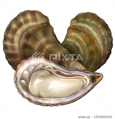 Oysters Oysters 105968916