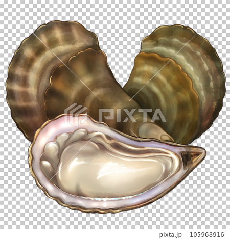 Oysters Oysters 105968916