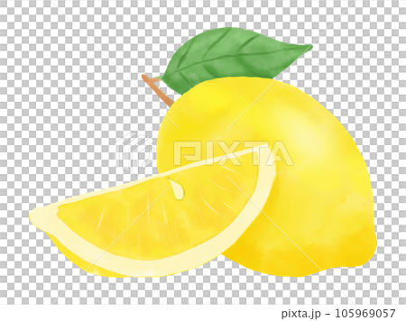 くし切りカットと葉っぱつきの丸ごとレモンの水彩イラスト くし切りカットと葉っぱつきの丸ごとレモンの水彩イラスト 105969057
