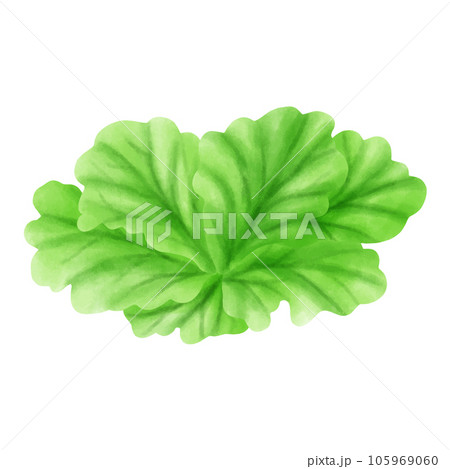 Exquisite Watercolor Depiction of Hamburgers and Hamburger Elements 105969060
