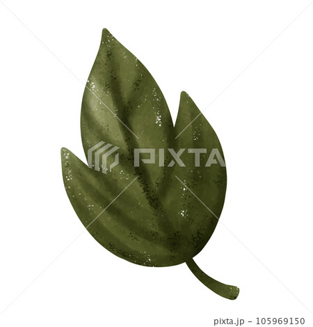 Set of green leaf drawings. Watercolor style. 105969150