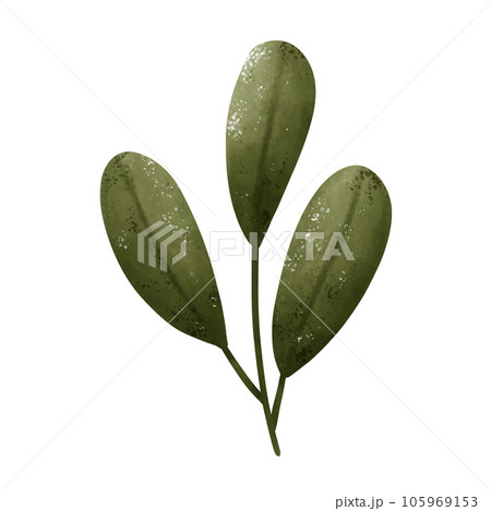 Set of green leaf drawings. Watercolor style. 105969153