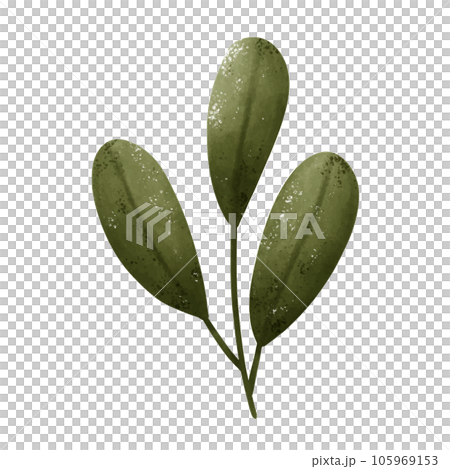 Set of green leaf drawings. Watercolor style. 105969153