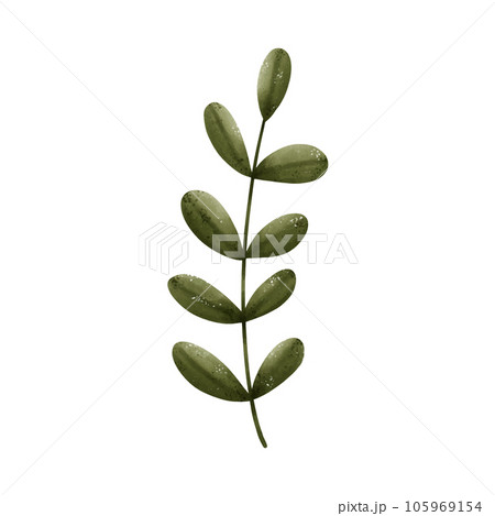 Set of green leaf drawings. Watercolor style. 105969154