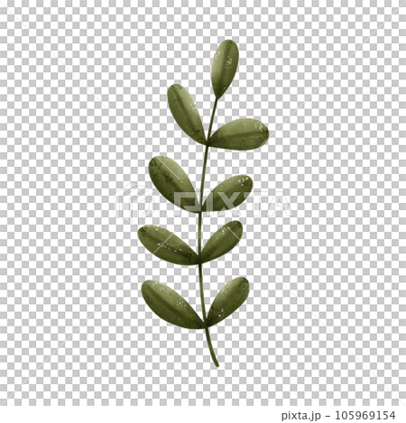 Set of green leaf drawings. Watercolor style. 105969154