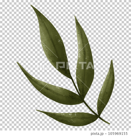 Set of green leaf drawings. Watercolor style. Set of green leaf drawings. Watercolor style. 105969155