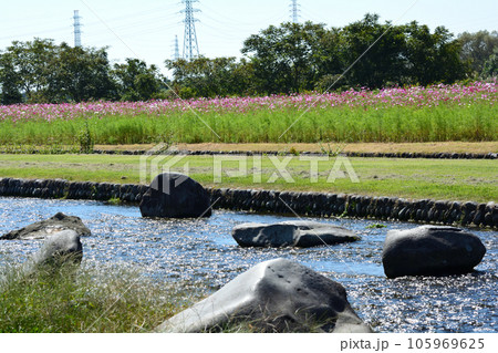鬼怒グリーンパークへ行きました #86 鬼怒グリーンパークへ行きました #86 105969625