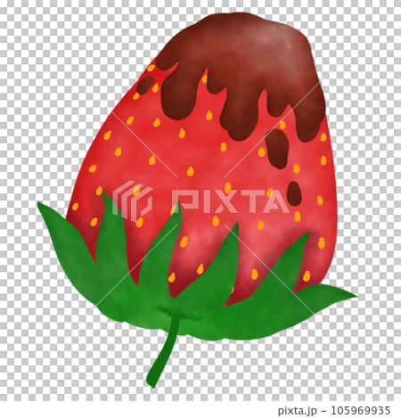 Chocolate coated strawberries 105969935