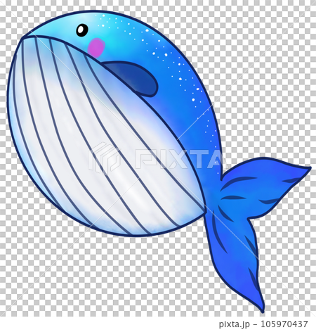 whale whale 105970437