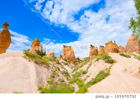 Cappadocia-Devrent Valley(Imagination Valley). 105970792