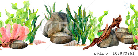 Watercolor drawing seamless border from dark and light green ribbon algae, bottom stones, coral, cone shells and snag on white background. Underwater set for textile printing, sticker, card, wallpaper Watercolor drawing seamless border from dark and light green ribbon algae, bottom stones, coral, cone shells and snag on white background. Underwater set for textile printing, sticker, card, wallpaper 105970861