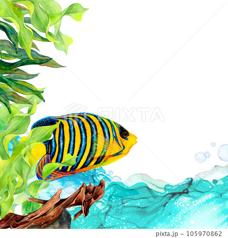 Watercolor drawing illustration of ribbon algae, royal angel fish, snag, air bubbles and blue transparent water wave on white background. Underwater set for textile prints, stickers, postcards, banner 105970862