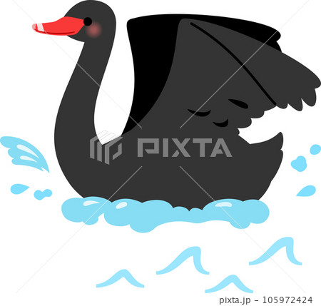 水面で羽ばたく黒鳥 105972424