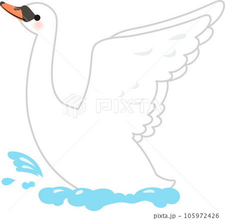 水面で羽ばたく白鳥 105972426