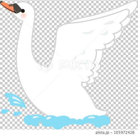 水面で羽ばたく白鳥 105972426