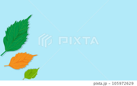 Three color leaf and blank pastel color background for your text , picture , copy space and other 105972629