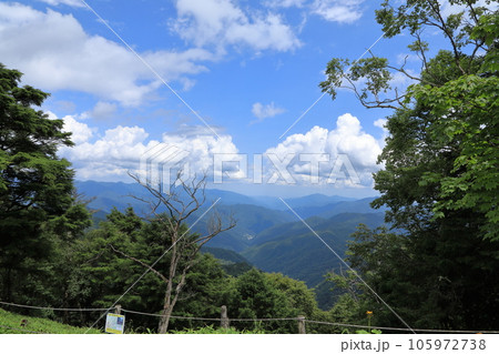 夏の大菩薩嶺の風景 ( 大菩薩峠 / 2023年8月 ) 105972738