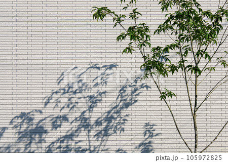 家のボーダータイル壁に映る樹木の影 105972825