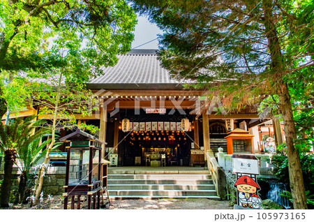 徳島 霊山寺（一番札所）　～本堂～ 105973165