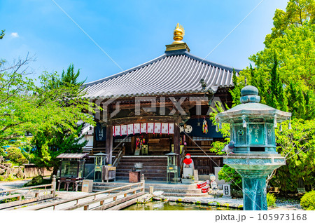 徳島 霊山寺(一番札所) ~大師堂~ 徳島 霊山寺(一番札所) ~大師堂~ 105973168