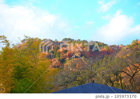 立石寺　山寺　紅葉　黄葉 105973370