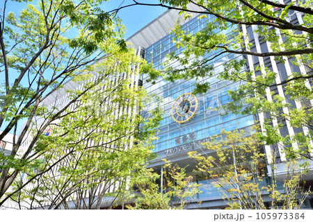 JR博多駅　博多口　大博通り方面　JR鹿児島本線 105973384