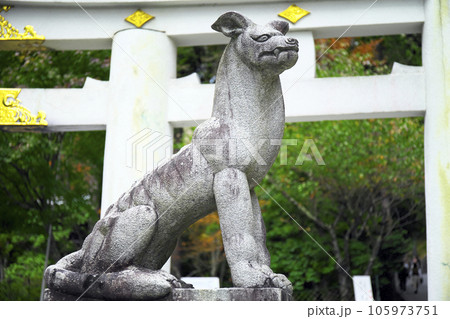 秩父市　三峯神社　御神犬 105973751
