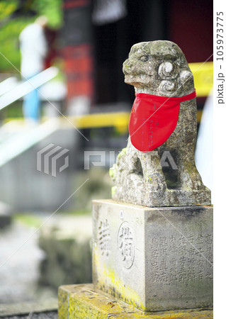 秩父市　三峯神社　御神犬 105973775