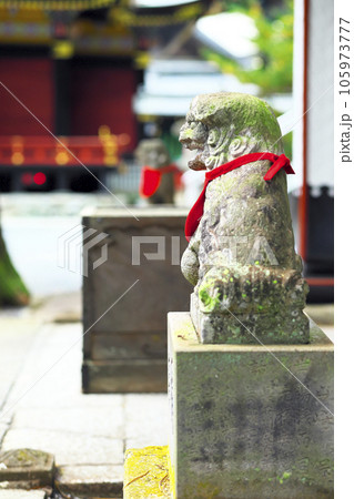 秩父市 三峯神社 御神犬 秩父市 三峯神社 御神犬 105973777