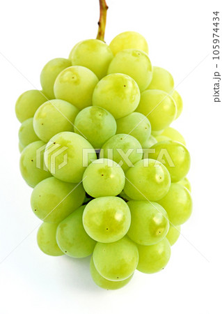 ぶどう(黄玉) ぶどう(黄玉) 105974434