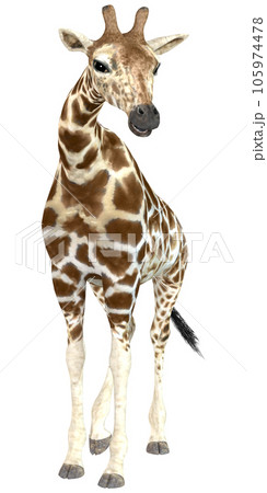 キリン☆Giraffe 105974478