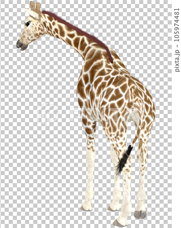 Kirin☆Giraffe Kirin☆Giraffe 105974481